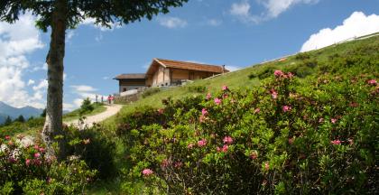 Zu den Hütten auf die Tallner Alm: Hirzer Hütte, Resegger Alm und Tallner Alm Kaser